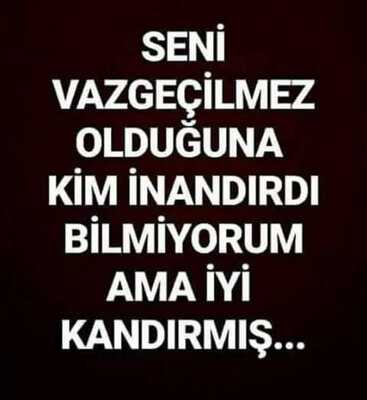 vazgecilmez_sanan.jpg